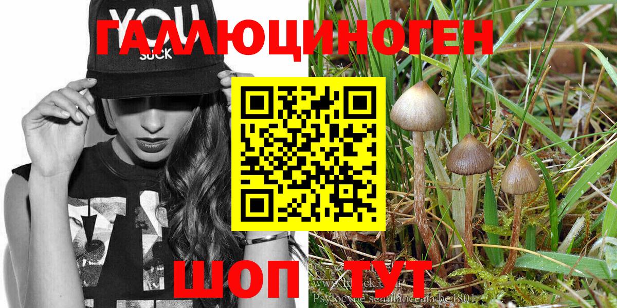 Саяногорск  Галлюциногенные грибы Magic Shrooms  Вход с VPN 